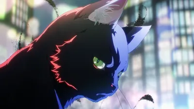 Crisp Anime Wallpaper Animals Wallpaper 4K 1920x1080 Anime, Hd, Desktop, Wallpaper:, Of, Ragou, Black, Torch, Cat-like, Figure, Ultrawide, Full HD
