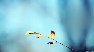 Anime Wallpaper 1918x1078 Abstract Wallpaper 4K 1918x1078 Ultrawide