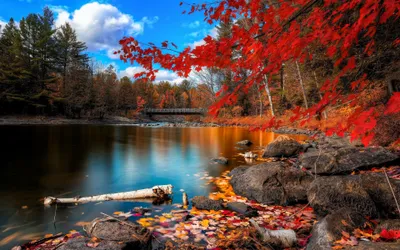 Vivid Serene Wallpaper Wallpaper 4K, Nature category