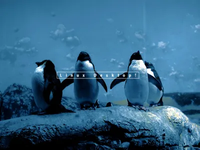 Vibrant Definition Wallpaper Abstract Wallpaper 4K 1600x1200 A, High-definition, Desktop, Wallpaper, Featuring, Four, Penguins, On, Rocky, Surface, Cool, Blue, Gray, Green, Landscape