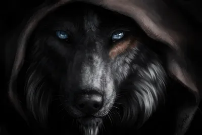 Fantasy Wolf Piercing Blue Animals Wallpaper 4K 1500x1000 Hd, Fantasy, Desktop, Wallpaper:, Featuring, A, Striking, Wolf, Piercing, Blue, Eyes, Shrouded, Black, Landscape