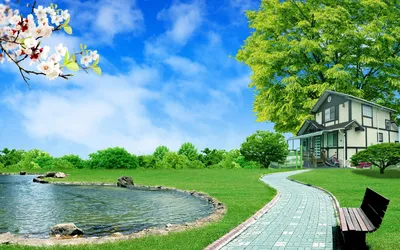 Sleek Definition Wallpaper Nature Wallpaper 4K 1920x1200