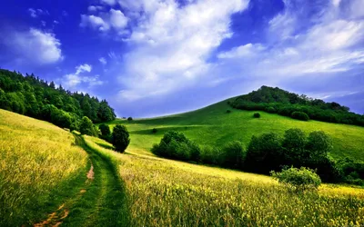 Nature Widescreen Cave Nature Wallpaper 4K 2560x1600