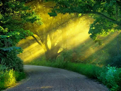 Best Jpg You Nature Wallpaper 4K 1600x1200