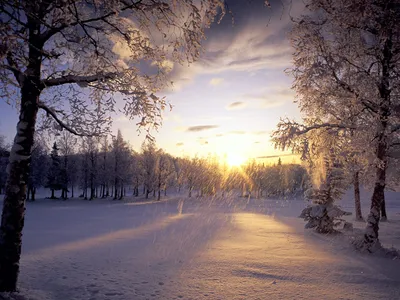 Serene Winter Sunset Wallpaper 4K, Nature category