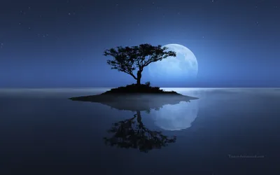 Sleek Tranquil Wallpaper Wallpaper 4K, Space category