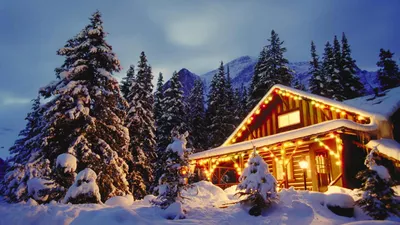Misty Winter Wallpaper Wallpaper 4K, Nature category
