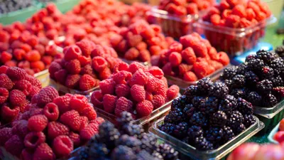Vibrant Food Wallpaper Wallpaper 4K, Abstract category