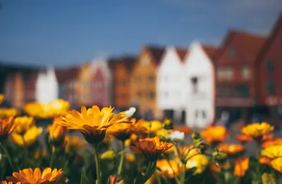 Why Time Make Wallpaper 4K, Nature category
