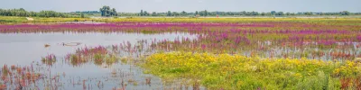Climate Nature Action European Wallpaper 4K, Nature category