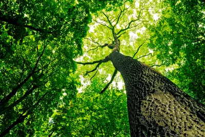 Great Travel Spots Nature Lovers World Wallpaper 4K 1000x667