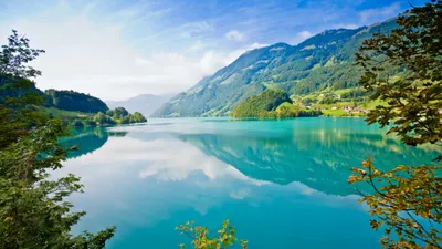 Golden Nature Wallpaper Wallpaper 4K, Nature category