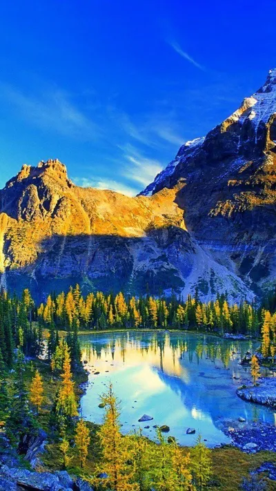 Radiant Nature Wallpaper Wallpaper 4K, Nature category