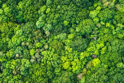 Vivid Smarter Wallpaper Wallpaper 4K, Nature category