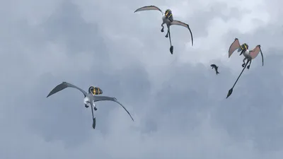 Golden Four Wallpaper Nature Wallpaper 4K 1920x1080 Hd, Pc, Desktop, Wallpaper, Featuring, Four, Flying, Dinosaurs, Soaring, Through, Cloudy, Sky, Gray, Ultrawide, Full HD