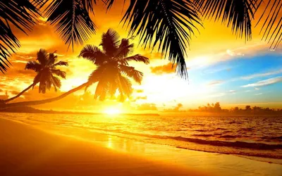 Island Sunset Nature Wallpaper 4K, Nature category