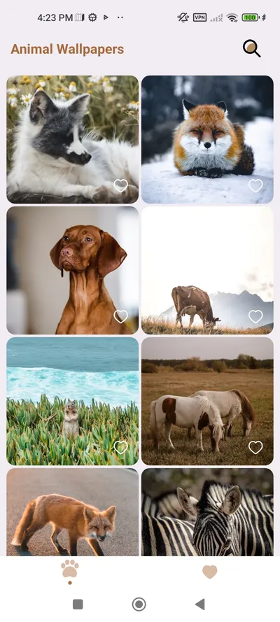 Animal Apk Android Wallpaper 4K, Animals category