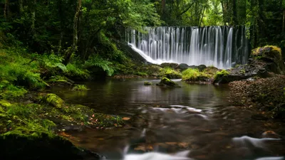 Waterfall Wallpaperdog Nature Wallpaper 4K, Nature category
