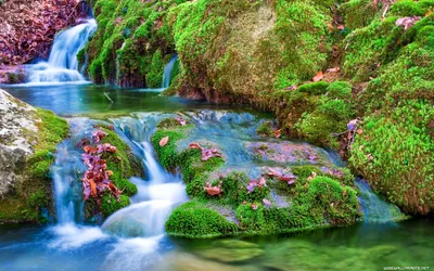 Golden Waterfall Wallpaper Wallpaper 4K, Nature category