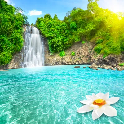 Bright Waterfall Wallpaper Wallpaper 4K, Nature category