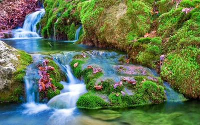Dreamy Waterfall Wallpaper Wallpaper 4K, Nature category