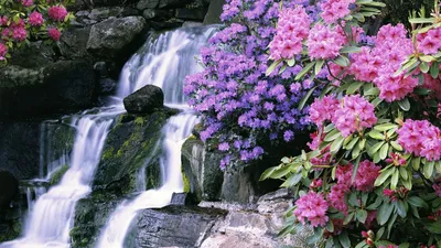 Golden Spring Wallpaper Wallpaper 4K, Nature category