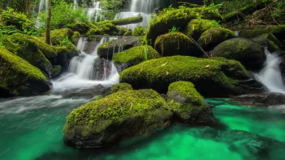 Misty Thailand Wallpaper Wallpaper 4K, Nature category
