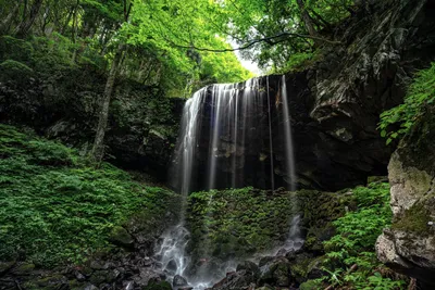 Radiant Nature Wallpaper Wallpaper 4K, Nature category