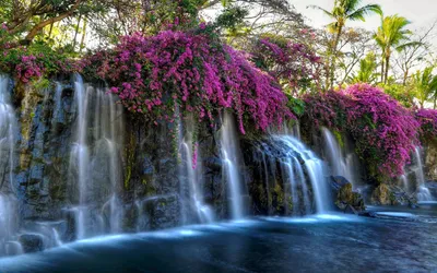 Vivid Waterfall Wallpaper Nature Wallpaper 4K 1920x1200