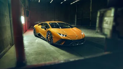 Misty Car Wallpaper Animals Wallpaper 4K 1200x670