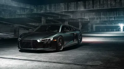 Car Lion Animals Animals Wallpaper 4K 1200x670