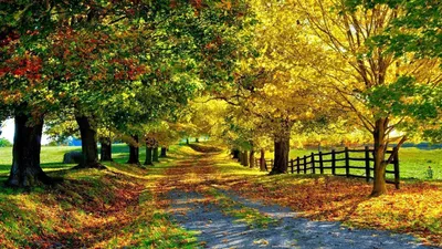Calm Seasonal Wallpaper Nature Wallpaper 4K 1600x900