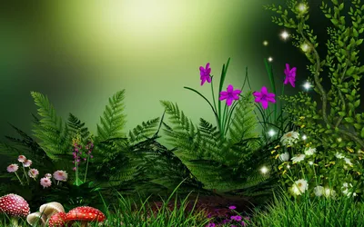 Love Nachural Cave Nature Wallpaper 4K 1920x1200