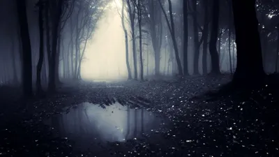 Dark Black-dark Black/Dark Wallpaper 4K 3840x2160