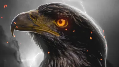 Close Fierce Eagle Glowing Eyes Nature Wallpaper 4K 3840x2160 Close-up, Of, A, Fierce, Eagle, With, Glowing, Eyes, Embers, Around, Set, Against, Gray, White, Ultrawide, 4k