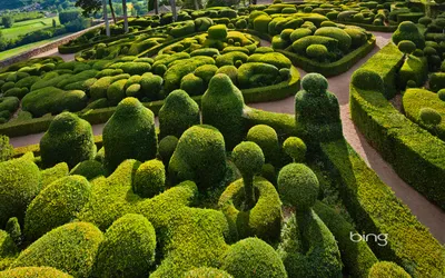 Misty Intricately Wallpaper Abstract Wallpaper 4K 1920x1200 Intricately, Designed, Hedge, Garden, Featuring, Vibrant, Green, Topiaries, Captured, High, Definition, Serving, Brown, Purple, Ultrawide, Full HD